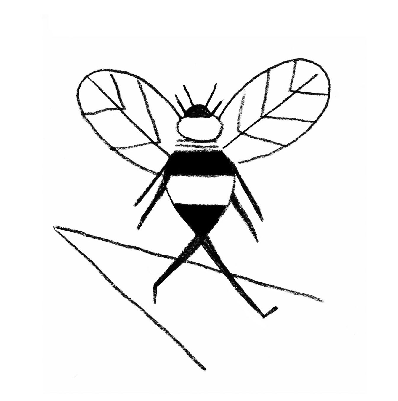mcguire-bee