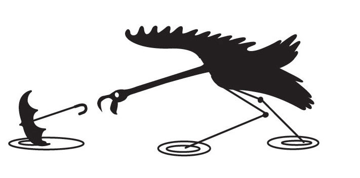 mcguire-bird