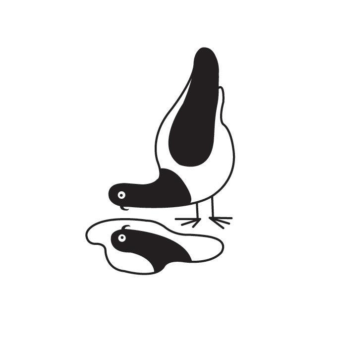 mcguire-pigeon