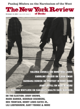 Image of the November 19, 2020 issue cover.